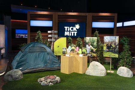 TICK MITT