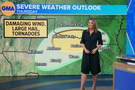 GINGER ZEE