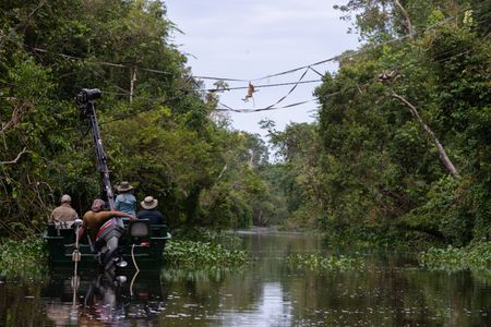 Crew film proboscis monkeys using a crane and stabilized gimbal mounted to a boat. (National Geographic/Jason Isley)