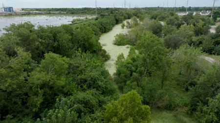Sankofa Wetland Park and Nature Trail in the Lower N9th Ward of New Orleans aims to protect the Ward from hurricanes and flooding. (Lightbox Entertainment Inc./Daniel Waghorne)
