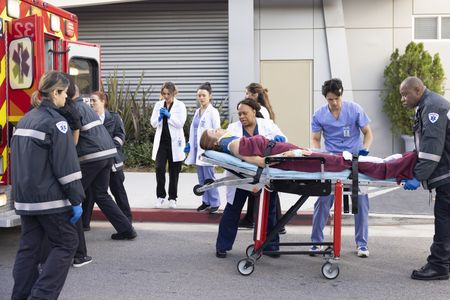 KATE WALSH, CHANDRA WILSON, HARRY SHUM JR.