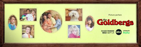 THE GOLDBERGS