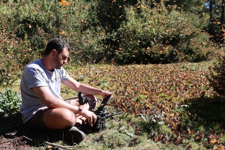 Camera assistant Nick Widdop films monarch butterflies in El Rosario Sanctuary, Monarch Butterfly Biosphere Reserve. (National Geographic for Disney/Imogen Prince)