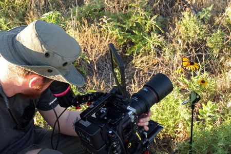 Cameraman James Salisbury films a monarch butterfly. (National Geographic for Disney/Sally Mclennan)