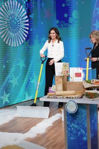 REBECCA JARVIS, LORI BERGAMOTTO