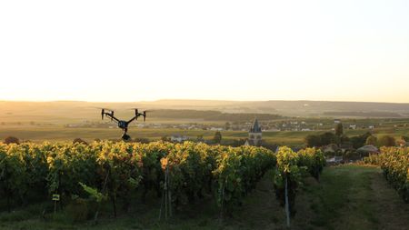 An Inspire 3 drone flies over the vineyards near Ville-Dommange in the Champagne wine region of France.  (National Geographic/George Cawdron)