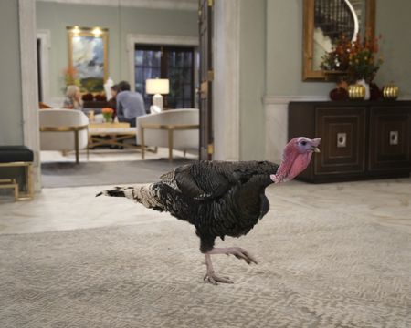GENERAL HOSPITAL