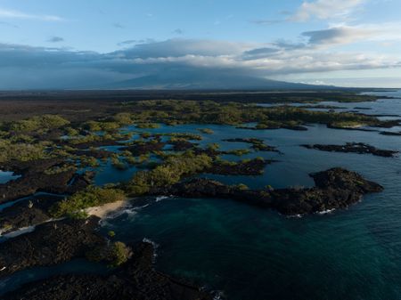 An aerial shot of a small part of Isla Isabela in the Galapagos Islands.  (credit: National Geographic/Bertie Gregory)
