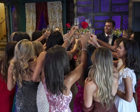 THE BACHELOR