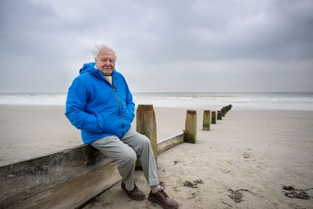 David Attenborough looks out to sea in Southern England. From National Geographic and Silverback and in association with All3Media International, documentary special OCEAN WITH DAVID ATTENBOROUGH highlights the vital, achievable actions the world can take to restore the ocean and stabilize the climate, debuting in 2025. (Photo by Conor McDonnell)