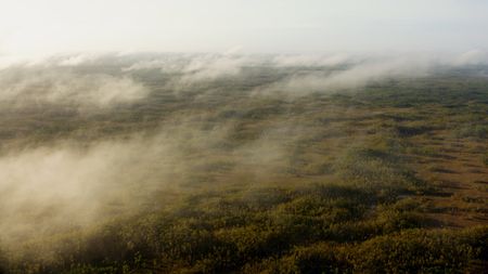 Low-hanging clouds settle over the cypress forest of the Everglades in the early morning light. (credit: National Geographic/Mat Goodman)