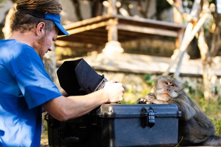 Cinematographer Tom Beldam enjoys the company of a long-tailed macaque as he films, until his own smartphone is stolen minutes later. (National Geographic/Laura Pennafort)