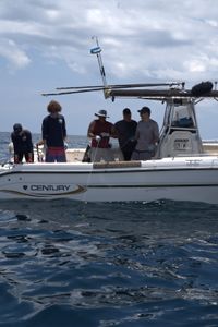 Erin Spencer, Dr. Maurits van Zinnicq Bergmann, Anthony Mackie, and Dr. Yannis Papastamatiou pull in an adult female Bull Shark by hand. (National Geographic/Lisa Tanner)