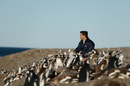 Contributor scientist Pablo 'Popi' Garcia Borboroglu sitting in a colony of Magellanic penguins on a beach in El Pedral.  (credit: National Geographic/Santiago Sainz-Trapaga)