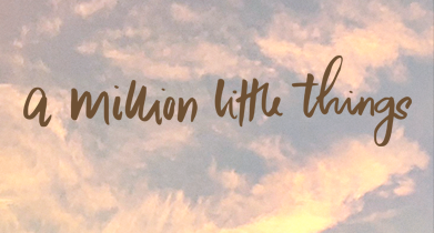 A Million Little Things