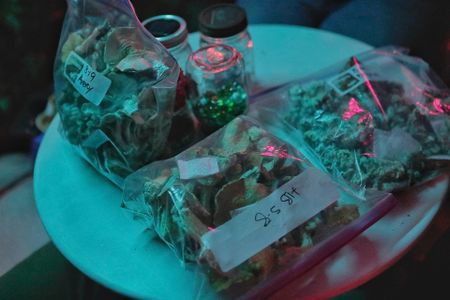 Bags of mushrooms on a table. (Credit: National Geographic)