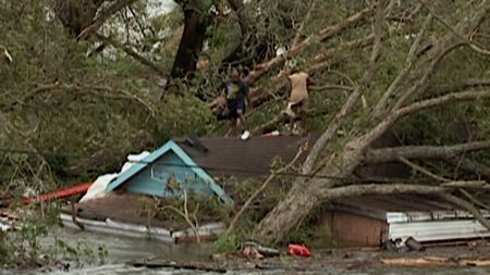 A man climbs a tree above a flooded house after Hurricane Katrina. (CNN)