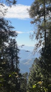 Drone filming the forests in Parque Nacional Iztaccíhuatl, Popocatépetl, Mexico. (National Geographic for Disney/Imogen Prince)