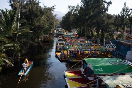 Trajineras (boats) in the Xochimilco area of Mexico City. The Xochimilco canals are the home of the axolotl. (National Geographic/Karl Davies)