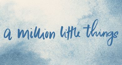 A Million Little Things