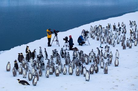 Filmmakers Bertie Gregory, Ben Joiner and Sara Matasik with Emperor penguin chicks waiting at the sea ice edge before their first swim in Atka Bay, Antarctica. (National Geographic/Bertie Gregory)