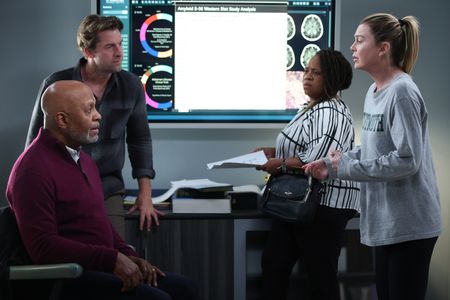 JAMES PICKENS JR., SCOTT SPEEDMAN, CHANDRA WILSON, ELLEN POMPEO