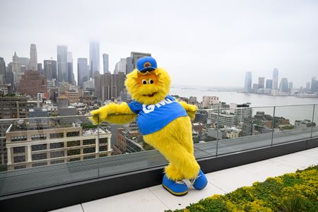 GMA MASCOT RAY