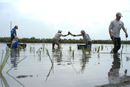 Anthony Mackie taking weeds from Bren Haase, a Coalition to Restore Coastal Louisiana (CRCL) volunteer. From L-R: Fiona Lightbody, Addison Ellis, Anthony Mackie, Bren Haase, Brandon Champagne. (National Geographic/Brian Roedel)