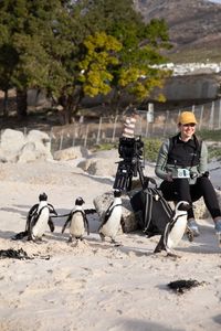 Director Heather Cruickshank monitoring filming in the company of a small group of African penguins on a beach in Simon's Town.  (credit: National Geographic/Rob Slater)
