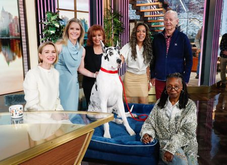 NAOMI WATTS, SARA HAINES, JOY BEHAR, BING, SUNNY HOSTIN, BILL MURRAY, WHOOPI GOLDBERG