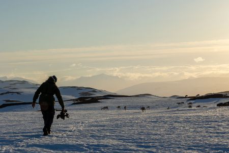 Director of photography James Ewan films reindeer grazing. (National Geographic for Disney/Holly Harrison)