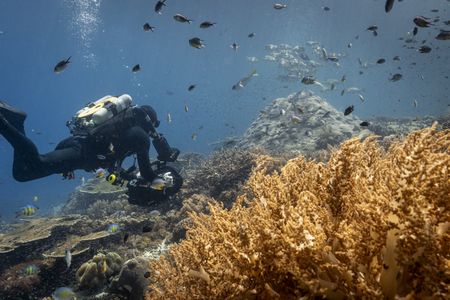 Director of photography Doug Anderson films the coral reefs of Raja Ampat, Indonesia. (Credit: Olly Scholey)