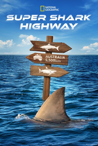 show logo