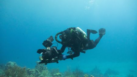 Hugh Miller dives to film pistol shrimps. (National Geographic/Nicki Meharg)