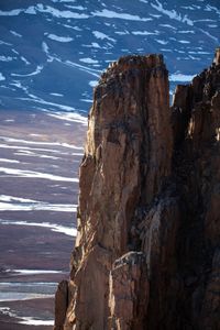 A barnacle goose on top of its cliffside perch in Greenland. (National Geographic/Doug Parker)